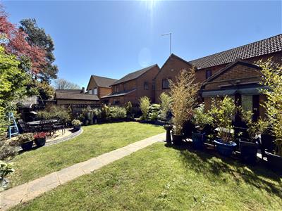 Picture 25